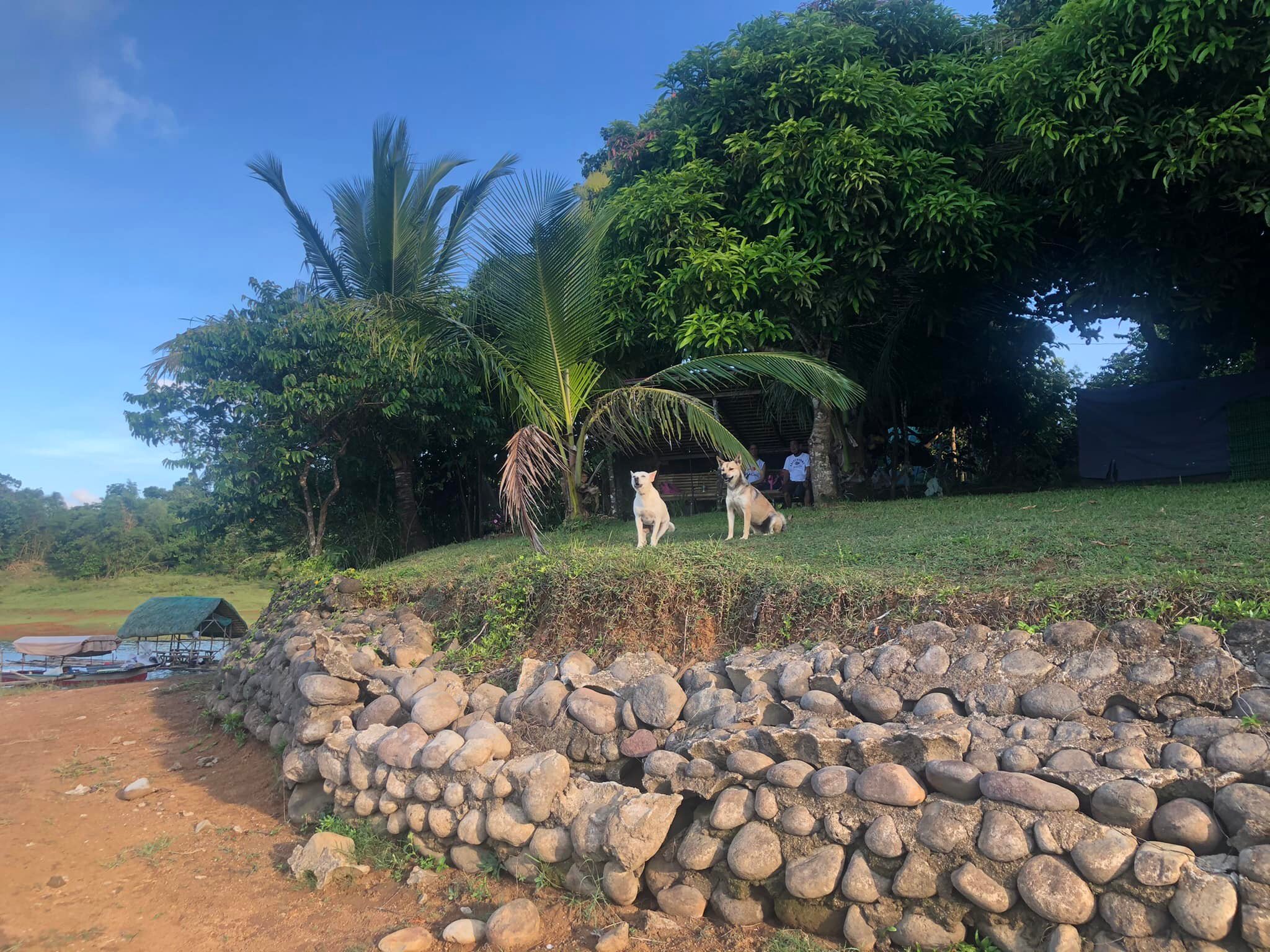 Mama's Cradle Glamp Camp photo 9